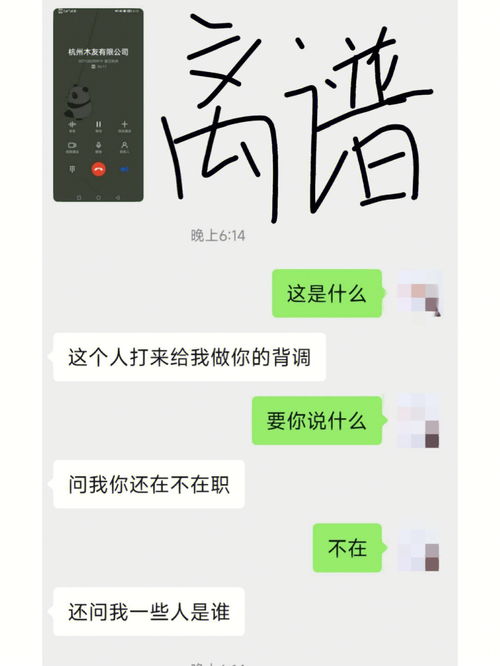 说说第一次工作的经历和感受