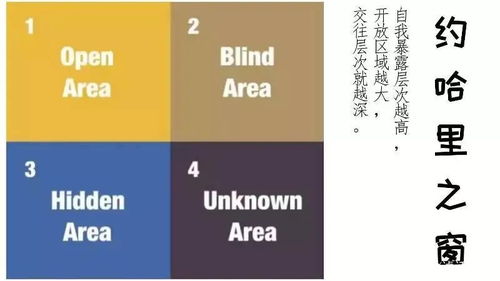 社交秘诀大公开建立深层次社交联系，让你的人脉更上一层楼！